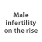 Male infertility on the rise
