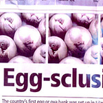 Egg Sclusive